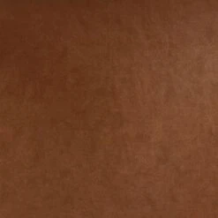 2pk Bowden Dining Chair With Arms Caramel Faux Leather - Project 62™ -Project 62 Sales Store GUEST 02f52629 0188 4088 8b4c 5ef15f70b457