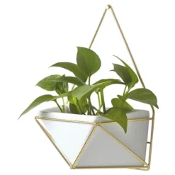 Succulent Wall Geometric Hanging White/Gold - Project 62™ -Project 62 Sales Store GUEST 2836534e daff 4fb8 8ad7 0f482e939ebb